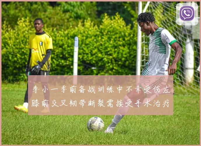 李小一季前备战训练中不幸受伤左膝前交叉韧带断裂需接受手术治疗