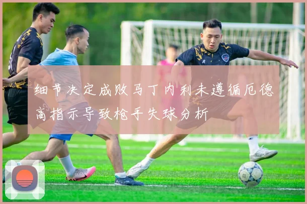 细节决定成败马丁内利未遵循厄德高指示导致枪手失球分析